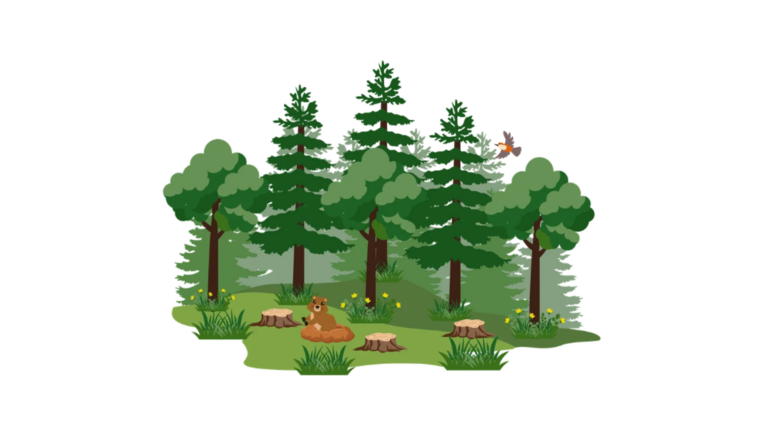 Waldjugendspiele Klasse 3/4b und 4a
