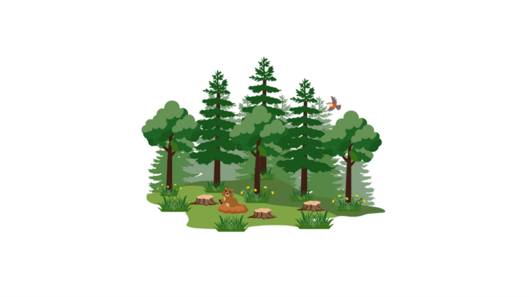 Waldjugendspiele am 08.07.2026
